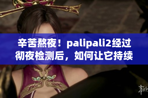 辛苦熬夜！palipali2經(jīng)過徹夜檢測(cè)后，如何讓它持續(xù)高效？