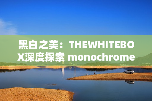 黑白之美：THEWHITEBOX深度探索 monochrome的魅力