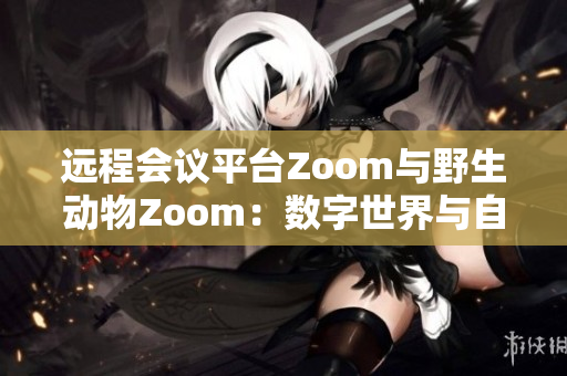 遠程會議平臺Zoom與野生動物Zoom：數(shù)字世界與自然界的奇妙交匯