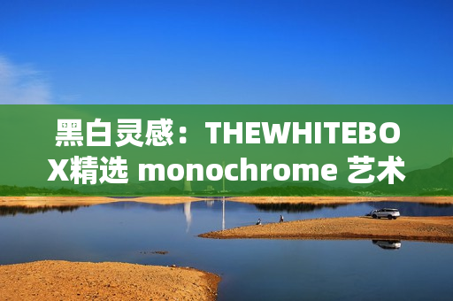 黑白靈感：THEWHITEBOX精選 monochrome 藝術(shù)