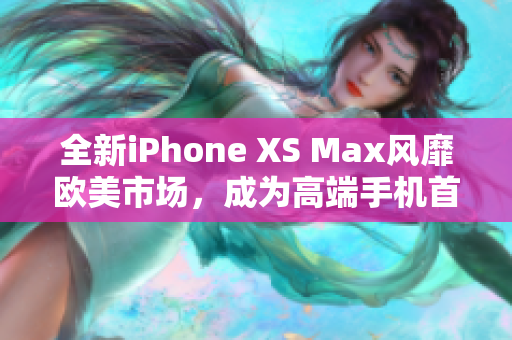 全新iPhone XS Max風(fēng)靡歐美市場，成為高端手機首選