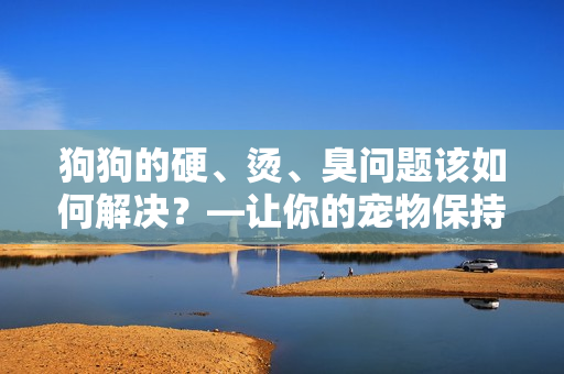 狗狗的硬、燙、臭問題該如何解決？—讓你的寵物保持舒適與健康