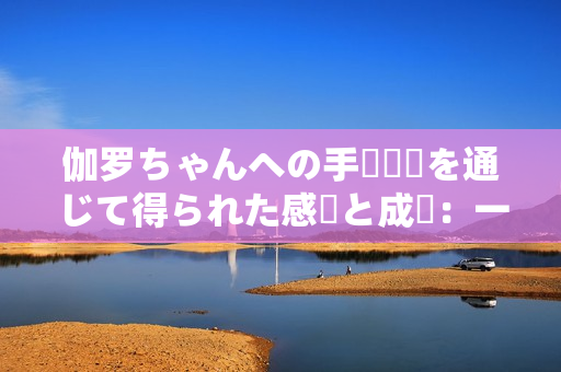 伽羅ちゃんへの手術(shù)経験を通じて得られた感動と成長：一匹犬の物語