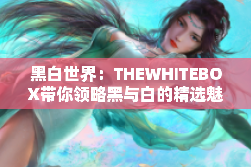 黑白世界：THEWHITEBOX帶你領(lǐng)略黑與白的精選魅力