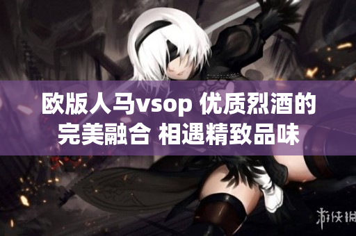 歐版人馬vsop 優(yōu)質(zhì)烈酒的完美融合 相遇精致品味