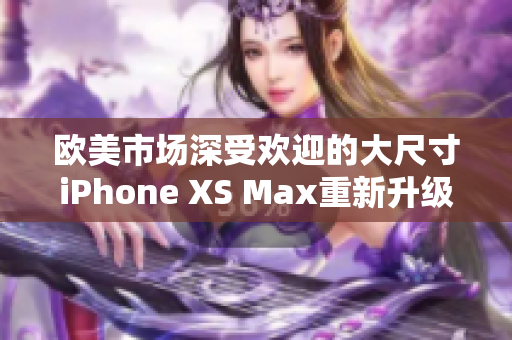 歐美市場深受歡迎的大尺寸iPhone XS Max重新升級