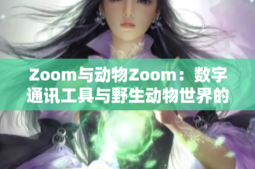 Zoom與動(dòng)物Zoom：數(shù)字通訊工具與野生動(dòng)物世界的奇妙對(duì)比