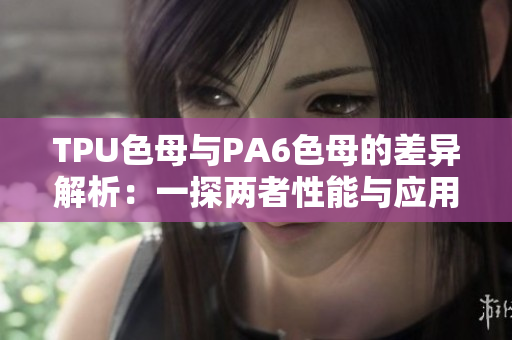 TPU色母與PA6色母的差異解析：一探兩者性能與應(yīng)用