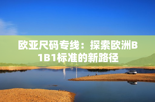 歐亞尺碼專線：探索歐洲B1B1標(biāo)準(zhǔn)的新路徑