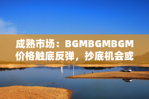 成熟市場：BGMBGMBGM價格觸底反彈，抄底機會或已現