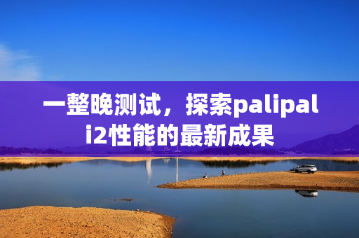 一整晚測(cè)試，探索palipali2性能的最新成果