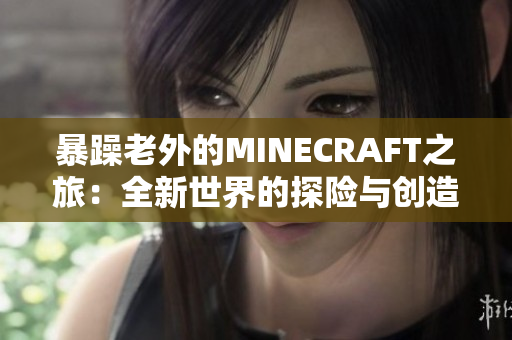 暴躁老外的MINECRAFT之旅：全新世界的探險與創(chuàng)造