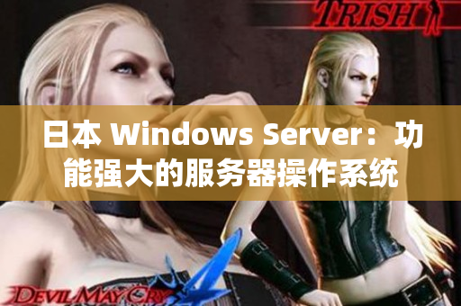 日本 Windows Server：功能強大的服務器操作系統(tǒng)