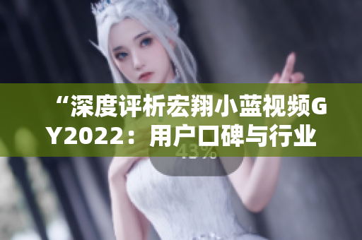 “深度評析宏翔小藍(lán)視頻GY2022：用戶口碑與行業(yè)評價(jià)如何？”