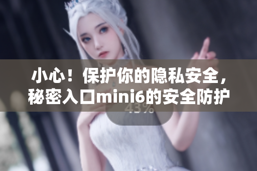 小心！保護你的隱私安全，秘密入口mini6的安全防護全解析