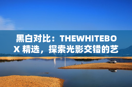 黑白對比：THEWHITEBOX 精選，探索光影交錯的藝術世界