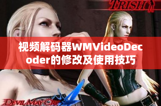 視頻解碼器WMVideoDecoder的修改及使用技巧