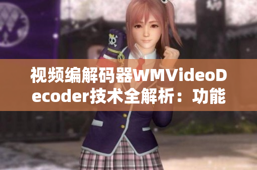 視頻編解碼器WMVideoDecoder技術(shù)全解析：功能、應用及未來發(fā)展