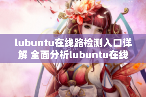 lubuntu在線路檢測入口詳解 全面分析lubuntu在線路檢測入口及其功能特點