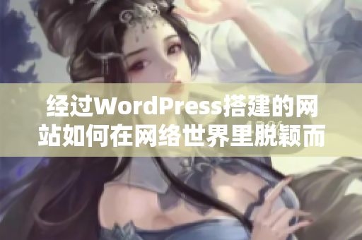 經(jīng)過WordPress搭建的網(wǎng)站如何在網(wǎng)絡(luò)世界里脫穎而出