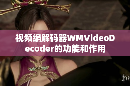 視頻編解碼器WMVideoDecoder的功能和作用