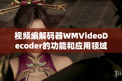 視頻編解碼器WMVideoDecoder的功能和應用領域介紹