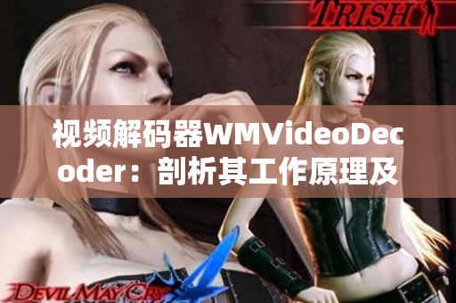 視頻解碼器WMVideoDecoder：剖析其工作原理及性能展望