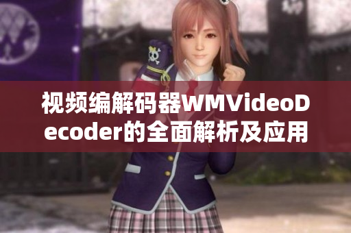 視頻編解碼器WMVideoDecoder的全面解析及應(yīng)用實(shí)踐