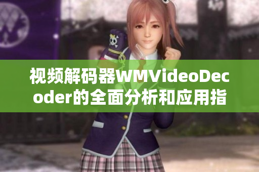 視頻解碼器WMVideoDecoder的全面分析和應(yīng)用指南