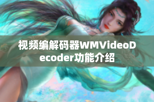 視頻編解碼器WMVideoDecoder功能介紹