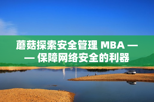 蘑菇探索安全管理 MBA —— 保障網(wǎng)絡(luò)安全的利器