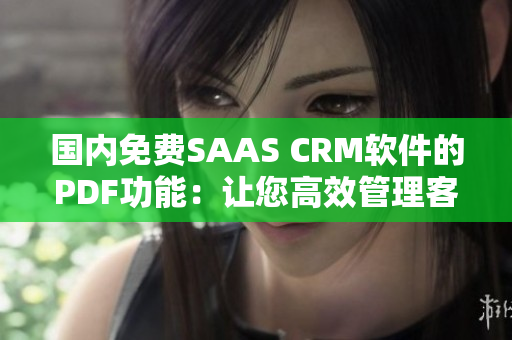 國內(nèi)免費SAAS CRM軟件的PDF功能：讓您高效管理客戶關系