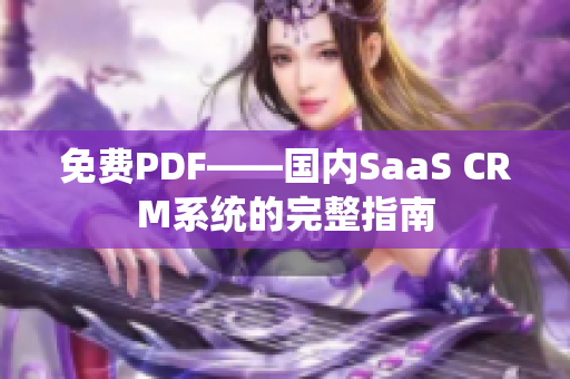 免費(fèi)PDF——國內(nèi)SaaS CRM系統(tǒng)的完整指南