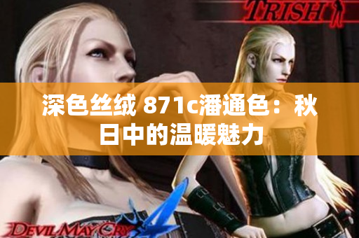 深色絲絨 871c潘通色：秋日中的溫暖魅力